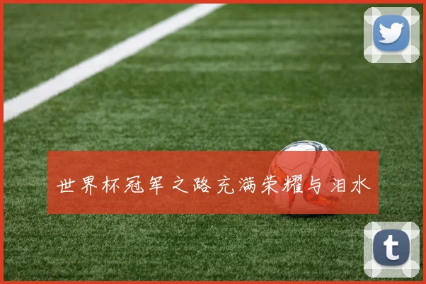 世界杯冠军之路充满荣耀与泪水