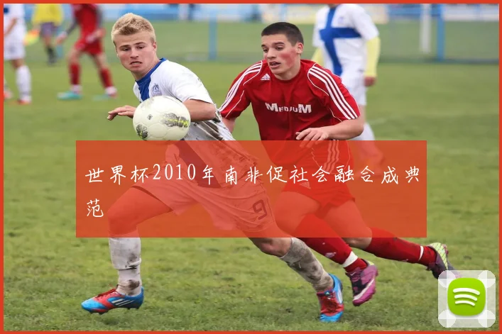 世界杯2010年南非促社会融合成典范
