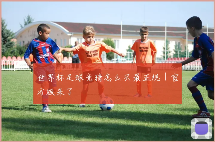 世界杯足球竞猜怎么买最正规｜官方版来了