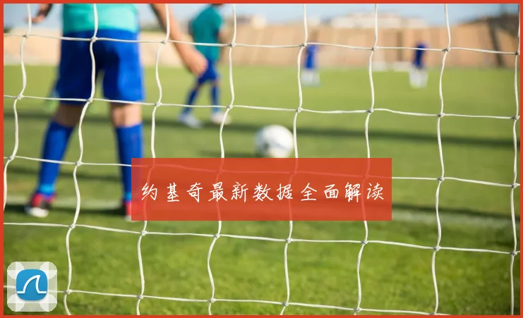 约基奇最新数据全面解读
